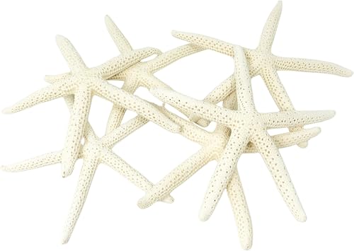 Starfish Decor - Star Fish for Craft - 10pk Real 2-4" White Sea Stars - Beach Wedding Decor - Coastal Party Decorations - Seashell Decor - Shells for Crafts - Nautical Decor - Bulk Shells for Crafts